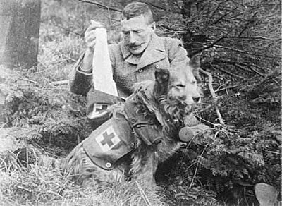軍犬在路上遛彎時，突然暴起將路人咬死，背後的原因讓人震撼