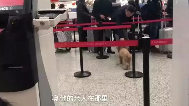 媽喊不能去「機場內拔腿狂奔」！撲向把拔懷抱：嗚嗚你不要走～