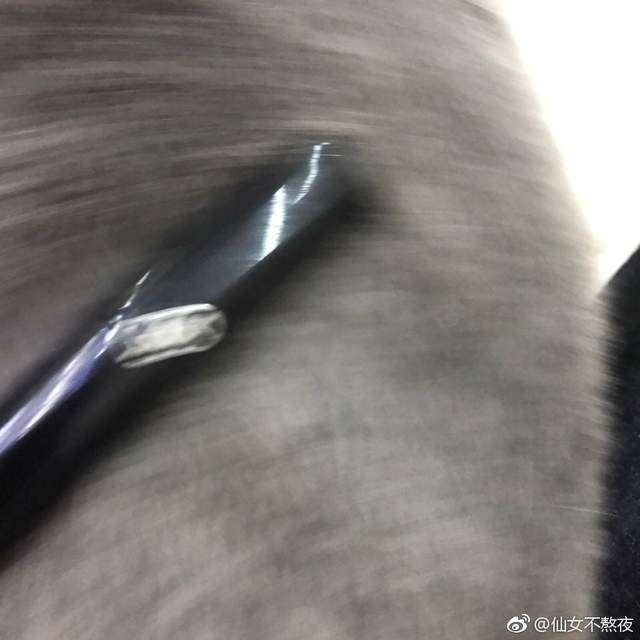 照片秒變高級奢華！拍攝小物找不到合適的背景嗎？鏟屎官瘋玩曬照片教你秘訣