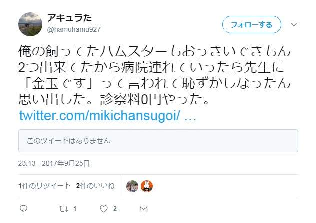 倉鼠身上「2顆怪怪的東西」太巨大　飼主急找獸醫卻被告知爆笑答案 