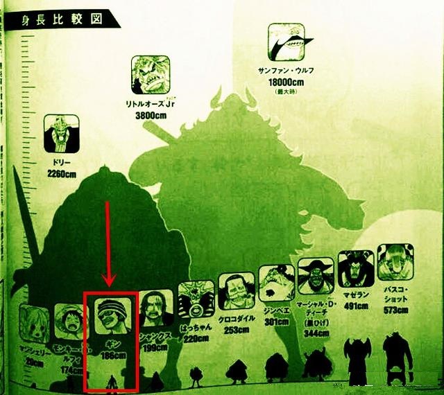 海賊王官方情報：尾田研究鬼人阿金的排名，真男人阿金不久會登場