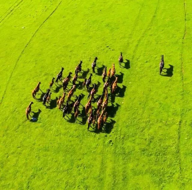 中國8大國家公園，熱愛旅行的人必去的地方！