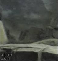流浪小狗饑寒交迫倒在路邊瑟瑟發抖，不知從哪來的鵝將小狗抱住，行為讓路人暖心感動