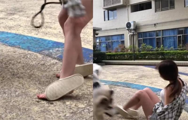 女主人樓下遛阿拉斯加，剛下樓就摔倒被氣哭，網：風一樣的大傻狗
