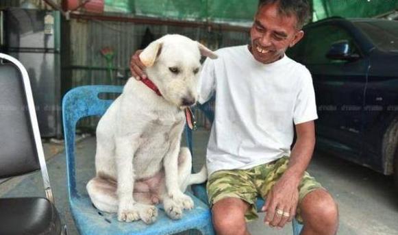 慶祝失蹤愛犬回家！泰男擺流水席任人吃，鄰居:誰能比他更愛狗