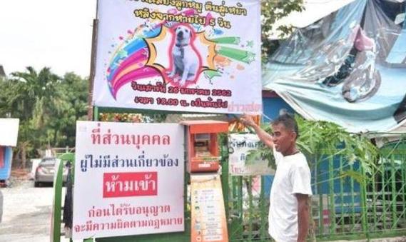 慶祝失蹤愛犬回家！泰男擺流水席任人吃，鄰居:誰能比他更愛狗