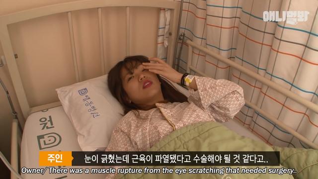「陪睡抓傷主人」好失控！「睡著就變惡魔」醫生嘆：牠有陰影...