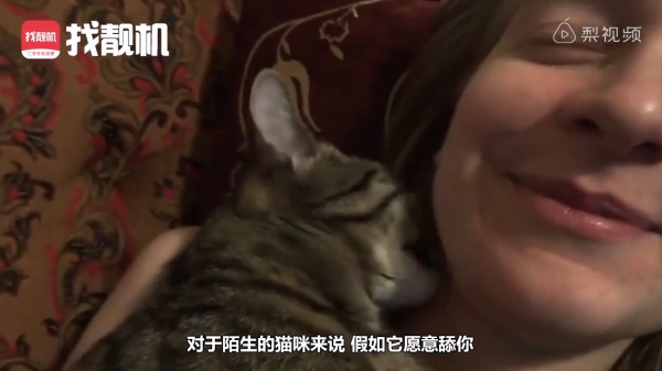 為什麼家中的喵星人這麼愛舔你，原來是因為＿＿＿！ 網友：「不枉費我辛苦伺候了！」