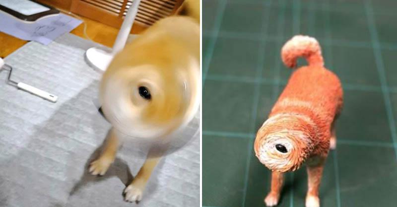 日本神人把10張「經典梗圖變成實體」　超可愛的貓咪「拿掉盒子後」的真相超驚悚