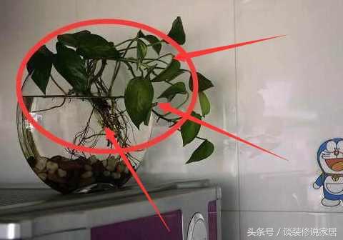 存不到錢的婦女們，家裡冰箱上面是不是放了這東西，是漏財的象徵！