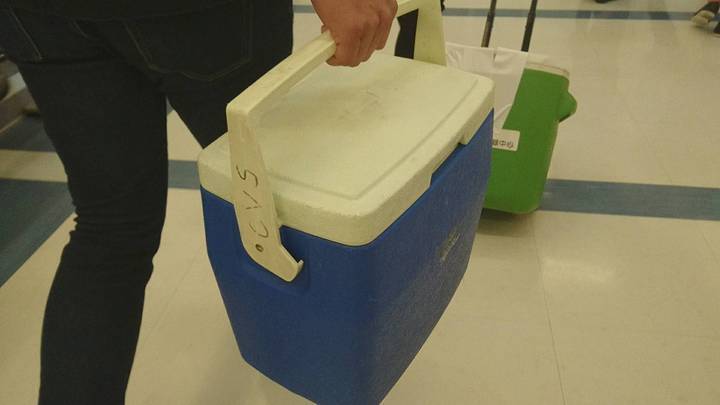 24歲女消防員大愛器捐,警車開道一路飆速120公裡,穿雪隧半小時直送台北