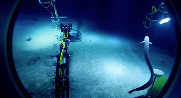 「海溝插畫」證實人對深海一無所知　《鐵達尼號》大導深潛11000公尺曝驚人景象