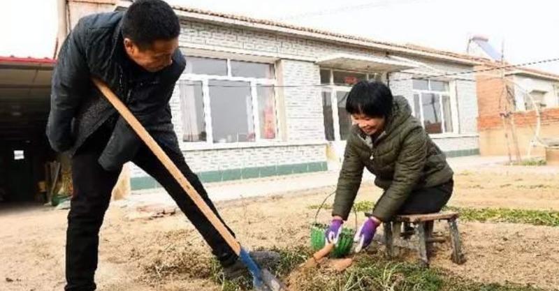 老公沒有雙臂，老婆沒有雙腿，卻讓網友很羨慕：「兩個人在一起什麼都能做到」 