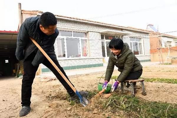 老公沒有雙臂，老婆沒有雙腿，卻讓網友很羨慕：「兩個人在一起什麼都能做到」 