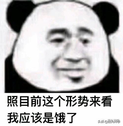 先凍死自己再靠憋尿復活，有些動物為了過冬竟然用上了超能力