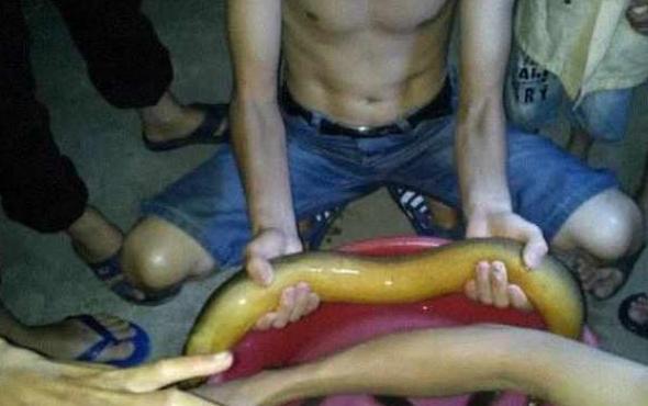 男子承包魚塘，在裡邊發現30年「魚王」！土豪用天價將其買下