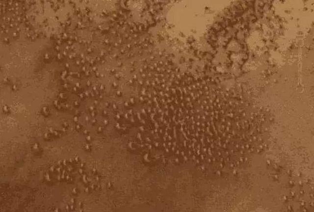 火星生命終於出現了？科學家拍到大量「羊群」，正在湖邊奔跑，經過研究才發現另有隱情