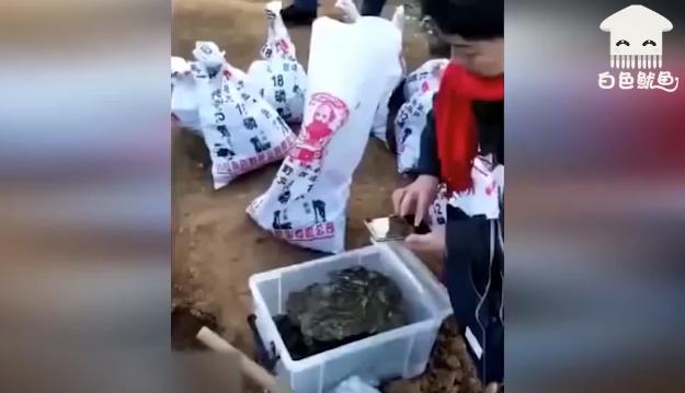 古代銀行挖到了！錢多到崩潰「2.2噸被偷走」剩下的一星期還處理不完