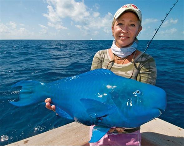 「來自地獄的蛇」「通體湛藍的魚」 這些神奇動物你見過嗎？（各種奇特生物大盤點）
