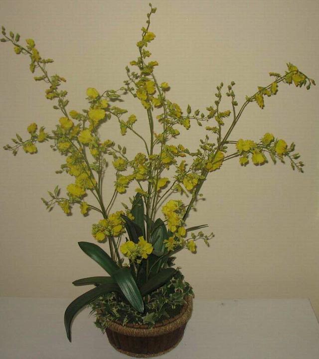 8種春節「好運花」，寓意特別好，過年只要擺一盆，好運滾滾來