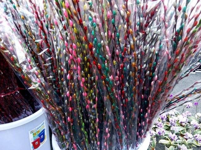 8種春節「好運花」，寓意特別好，過年只要擺一盆，好運滾滾來