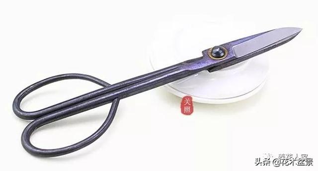 盆景製作要用什麼工具！