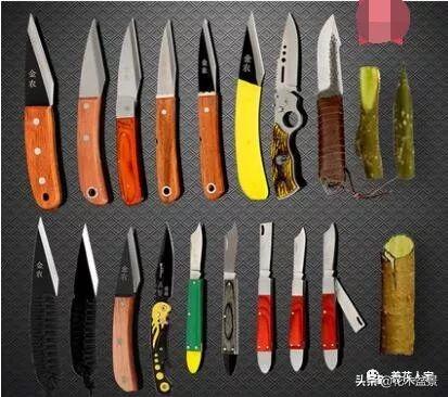 盆景製作要用什麼工具！