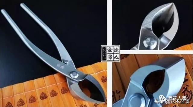 盆景製作要用什麼工具！