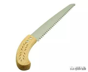 盆景製作要用什麼工具！