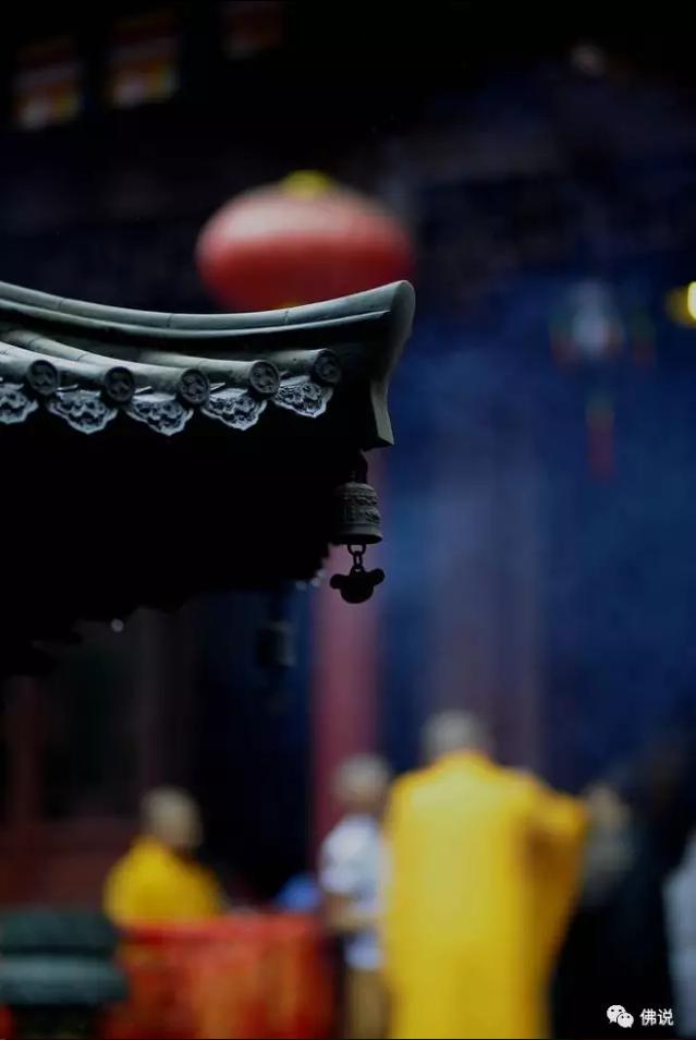 佛曰： 前世五百次的回眸， 才換來今生的擦肩而過！今生相逢便是緣分，應好好珍惜！！