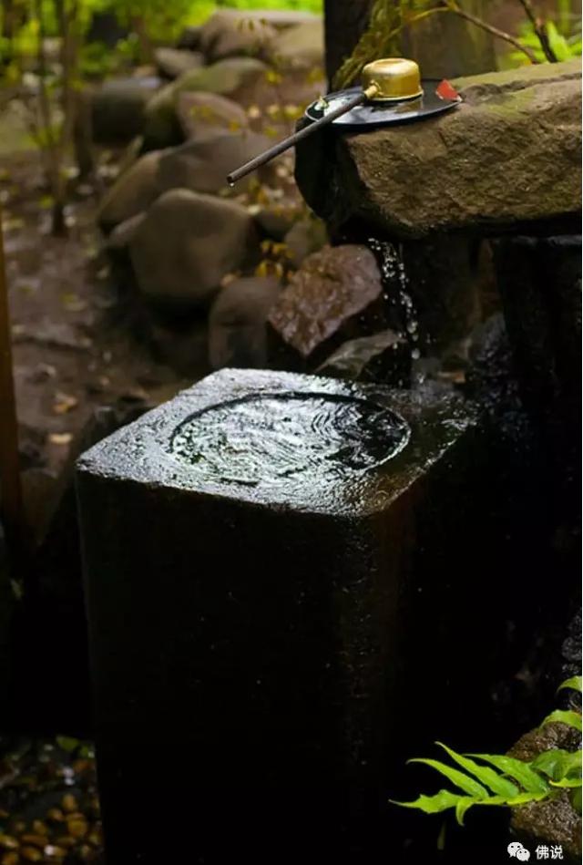 佛曰： 前世五百次的回眸， 才換來今生的擦肩而過！今生相逢便是緣分，應好好珍惜！！