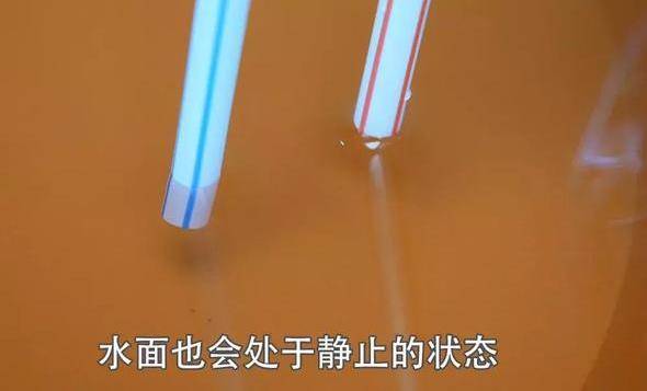 空寶特瓶不要仍！插上2根吸管「省錢又實用」超猛！用途鄰居看了紛紛效仿！