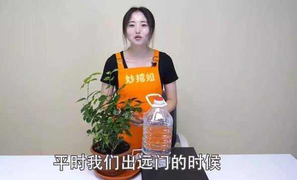 空寶特瓶不要仍！插上2根吸管「省錢又實用」超猛！用途鄰居看了紛紛效仿！