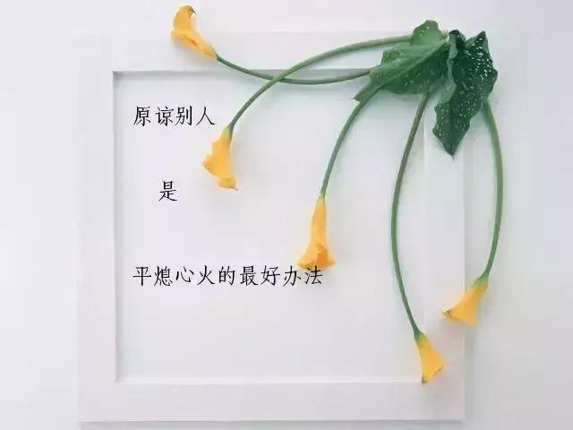 人生，就是一邊走，一邊學
