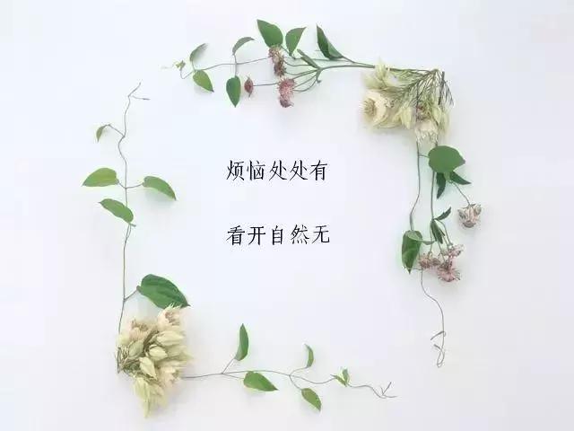 人生，就是一邊走，一邊學