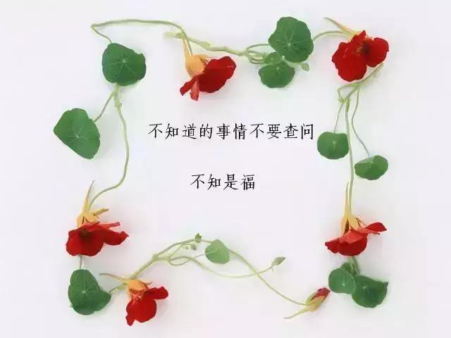 人生，就是一邊走，一邊學