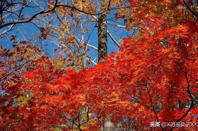 人生需要沉澱，寧靜才能致遠