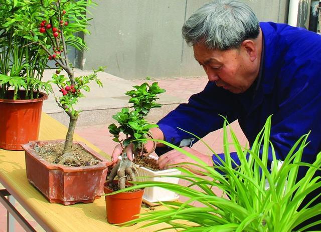 養花不要在傻傻的只知道澆水了，花都澆爛根了，老花農教你一個訣竅，養花都能輕鬆爆盆！