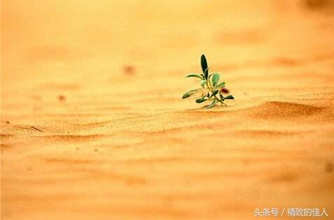 借錢給你容易，為什麼要你還錢那麼難？ 