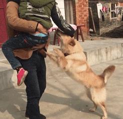 天生缺陷「一雙鬥雞眼」！上千粉絲被圈粉：就愛牠的呆萌可愛～
