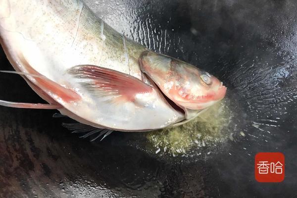 春節晚宴少不了這幾道硬菜，噴香夠味，做法簡單，學會就能做一桌
