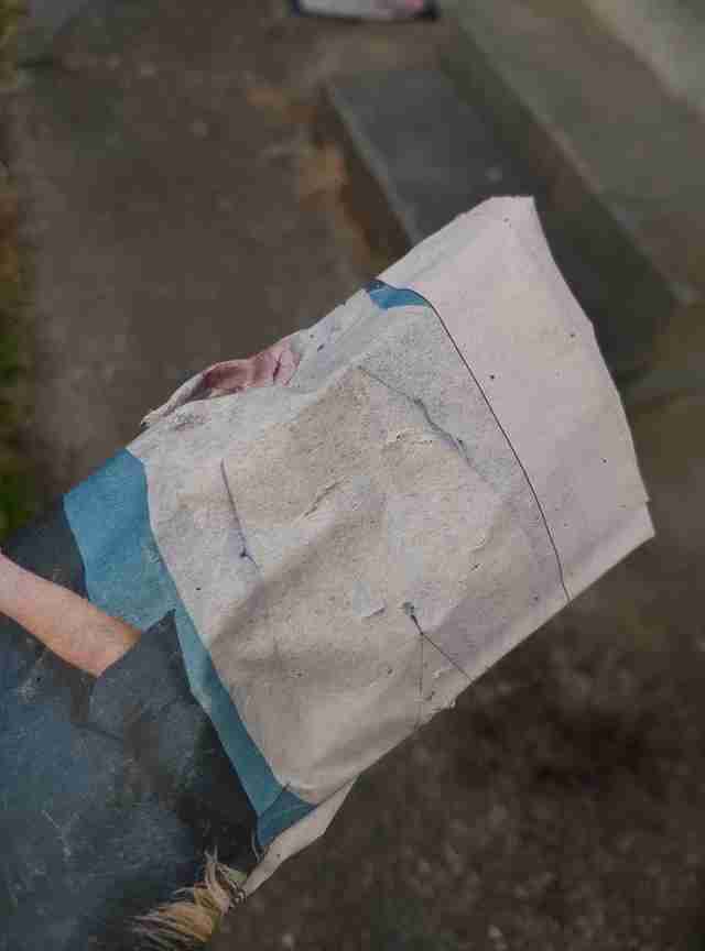 門口老是「出現報紙」明明沒訂啊？目睹「萌萌快遞」送報過程：要記得看喔～