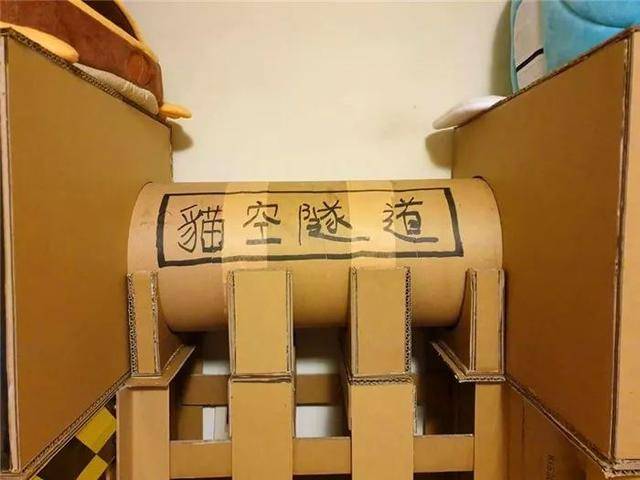 主人用紙箱造豪華貓城堡，完工後橘貓來視察，對新家表示滿意！