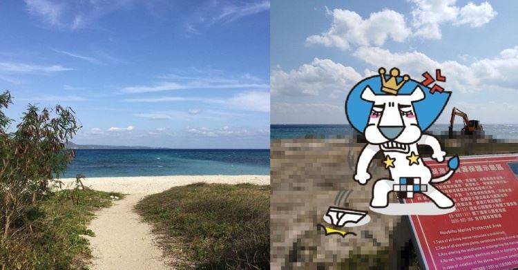 史上最狂哈士奇！山東月月被丟入狼群沒事「還當上狼王」！還娶了母狼生下混血小狼狗