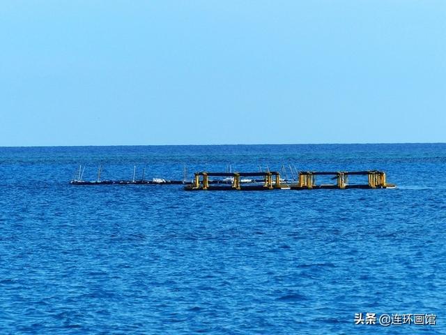 南沙彈丸礁已成馬來西亞搖錢樹，世界知名潛水聖地，來看看有多美