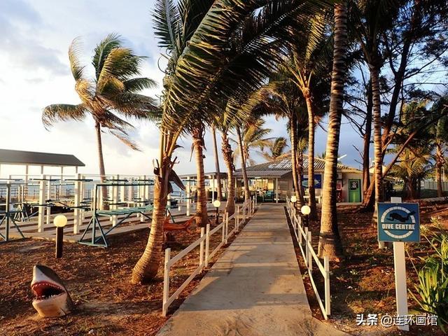 南沙彈丸礁已成馬來西亞搖錢樹，世界知名潛水聖地，來看看有多美