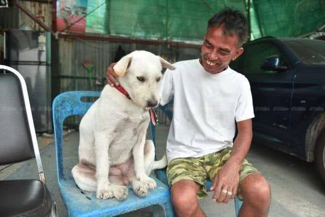 失蹤愛犬回到家中，泰國男子高興擺流水席任路人享用，鄰居：他是真正愛狗人