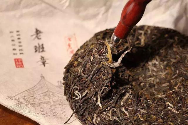 普洱香土莊園，這裡有雲、有茶、有咖啡，還有一個給你歸屬感的家