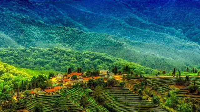 普洱香土莊園，這裡有雲、有茶、有咖啡，還有一個給你歸屬感的家