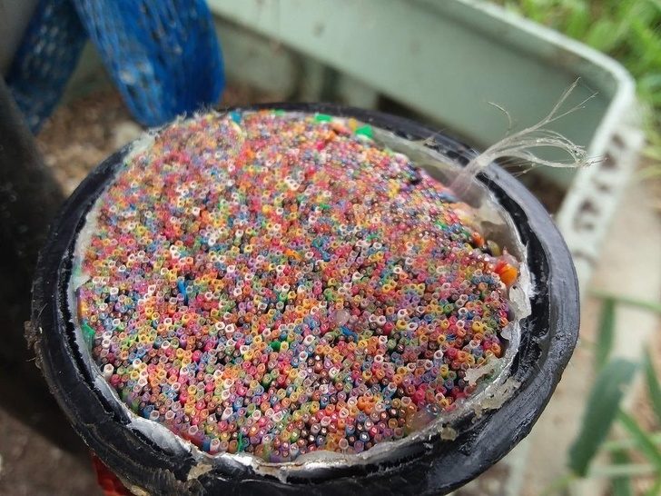 20張「會改變你看待世界的方式」的驚奇事物　懷孕的松鼠媽媽超可愛～